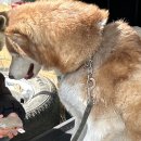 보리네김밥 | 1월 일상(1/26~31)