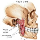 턱떨림 익상근 참고 이미지