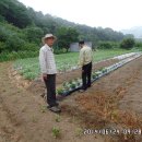 규형농장 이미지