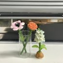 (원데이)히아시스 플라워 캔들 이미지