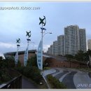 낙동강하구아미산전망대 이미지