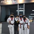 새봄태권도 이미지