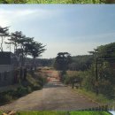 무창포공인중개사사무소 이미지