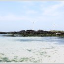 김녕해수욕장 이미지