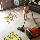 이번주 별거없는 일상+홈케어이야기 ㅎㅎ