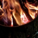 감악산 캠핑숲 이미지