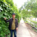 시청역(2호선) 이미지