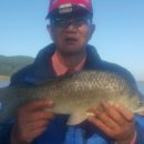 항포낚시터 이미지