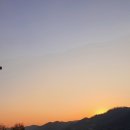 경기도 가평 삼회리벚꽃길 드라이브에 최적화된 벚꽃명소 (가는 방법, 주차팁, 추천카페)