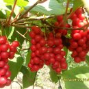 김진득 농장 이미지