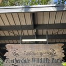 카앤코 | [호주][시드니][투어] 블루 마운틴 투어 후기 (페더데일 동물원/링컨스락/세자매 바위/카툼바 마을/별보기)