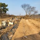 개금농장 이미지