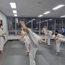 르노삼성자동차 명일점 | 정기심사 후기