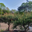 죽파리 경로당 이미지