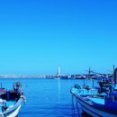 정자우리들 이미지