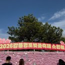 강릉경포그리고바다 | 강릉 경포 벚꽃축제 당일치기 바다 여행 다녀옴🌸🌊