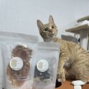 계피랑마요랑 이미지