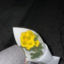 재미나개 이미지