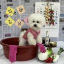 댕글댕글유치원 이미지