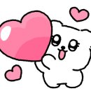 선민박 이미지