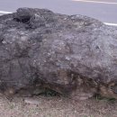 송정리 고인돌 이미지