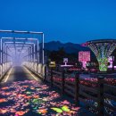 뉴스밸리미디어뉴스 | 원주 나오라쇼 2026, 소금산 밤을 밝히는 미디어아트와 방문 전 체크할 것