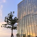 좋아좋아숯불갈비3호점 이미지