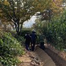 광일농원 이미지