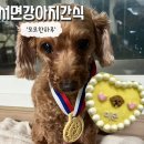 모모한 하루 | 서면부전 강아지케이크와 수제간식들이 가득한 ‘모모한하루’ 주차장부터 가는길까지 상세설명