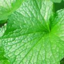 정가농장 이미지