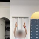 탐스피닝