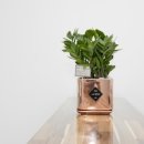 해든뷰 호스텔 이미지