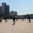 조선대학교부속고등학교 이미지