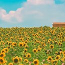 아차산로389 이미지