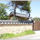 모평마을숲 Daum카페