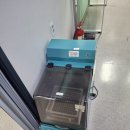 댕댕이지 이미지