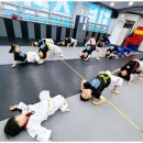 월산태권도 이미지