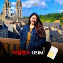 이심