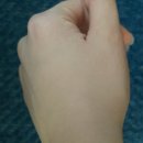 쓰리 쿠션 | 쿠팡뷰티추천 멸균 개별포장 벨피아 쓰리업 퍼프 찐 사용 후기