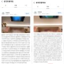 충현동물병원 네이버블로그
