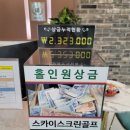 스카이 골프존 이미지