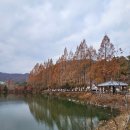 입암유적공원 이미지