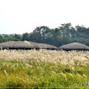 제주돌문화공원 이미지