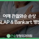 큰숲정형외과의원 이미지