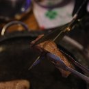 삼신상회 이미지