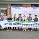 성장 태양광발전소 이미지