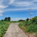 오조리-5 이미지