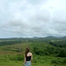 인준목장 | [7월 제주여행] chapter 5,6