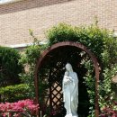 바다의별요양원 이미지