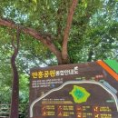 만흥공원 이미지